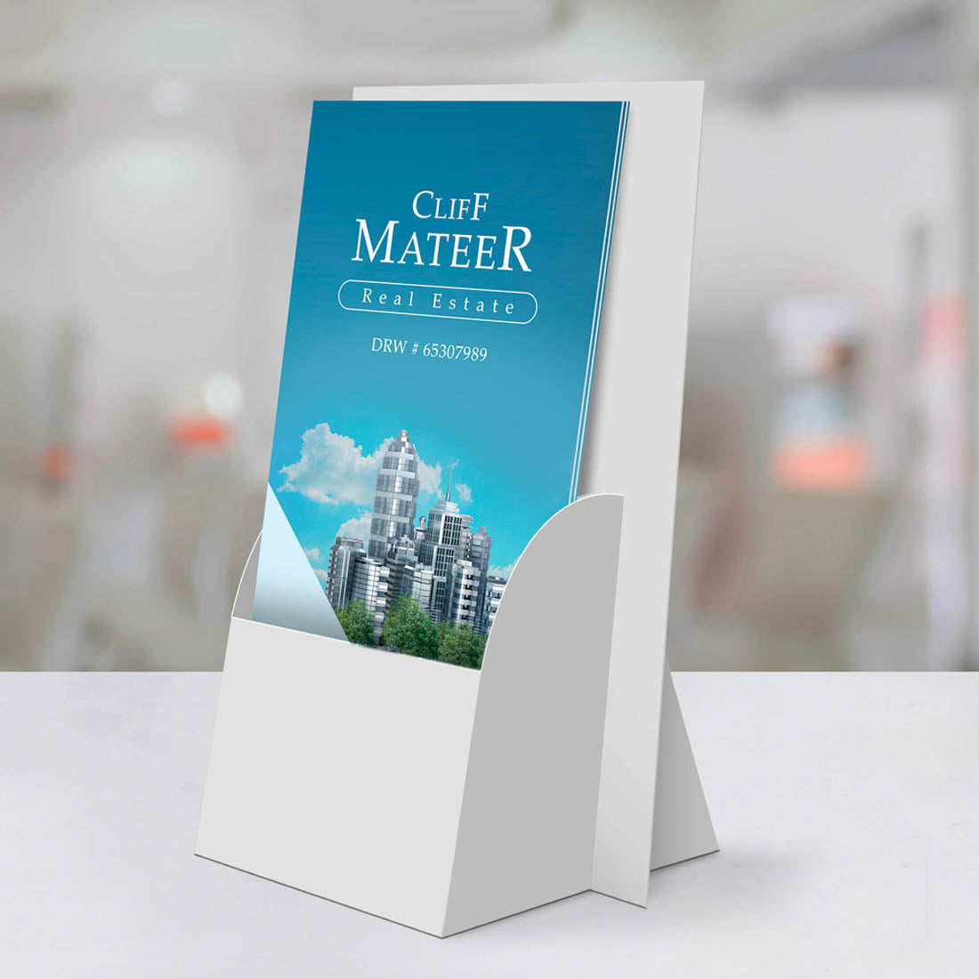 Real estate promotional flyers displayed upright in white brochure holder