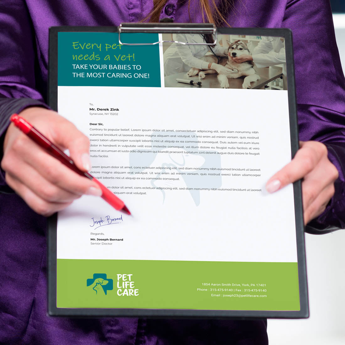 Custom veterinary letterhead with branded header and pet care imagery on clipboard